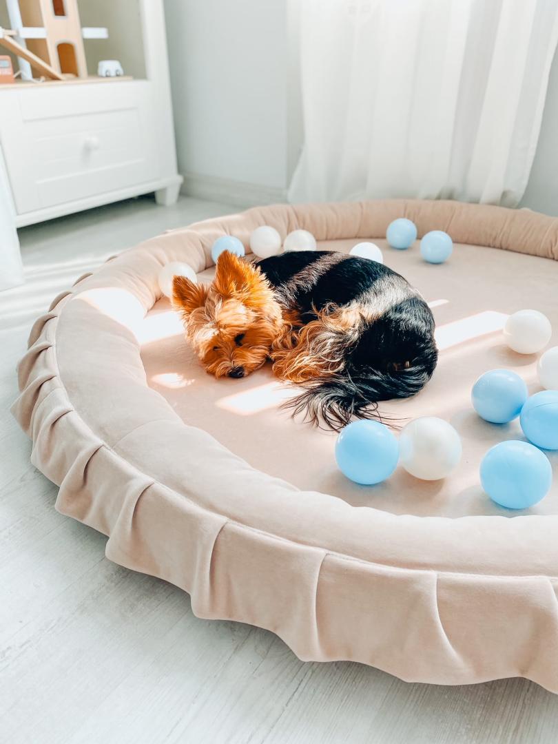 28445e6ab826920991366b3c0dc37e59