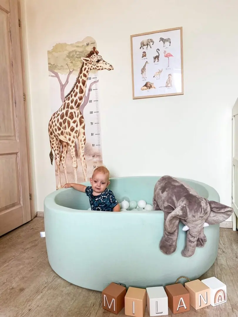 a5e0a3572d6e98e239a88a6865e03733